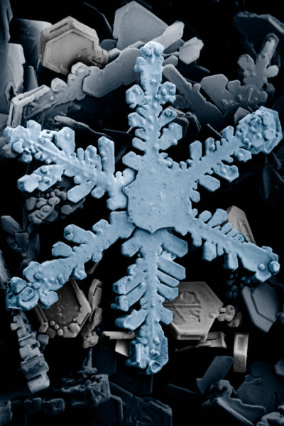 intricate star-shaped object